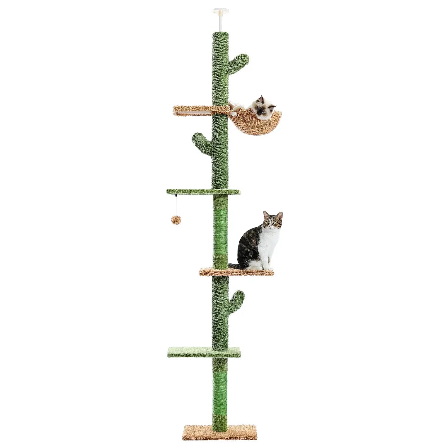 Arbre à Chat Cactus - FélinChic