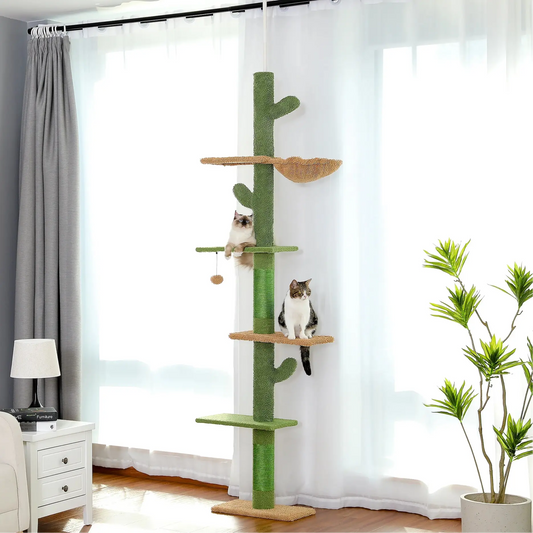 Arbre à Chat Cactus - FélinChic