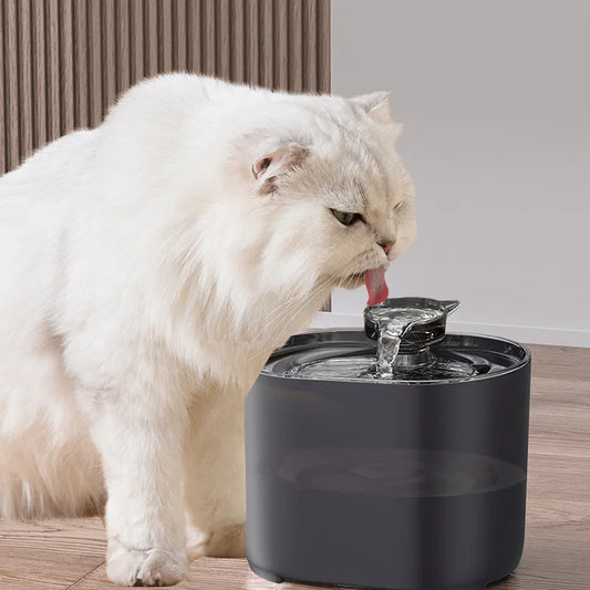 Fontaine À Eau Pour Chat - FélinChic