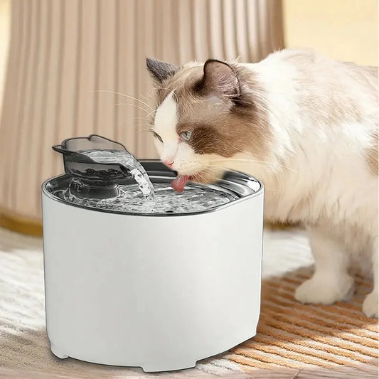 Fontaine À Eau Pour Chat - FélinChic