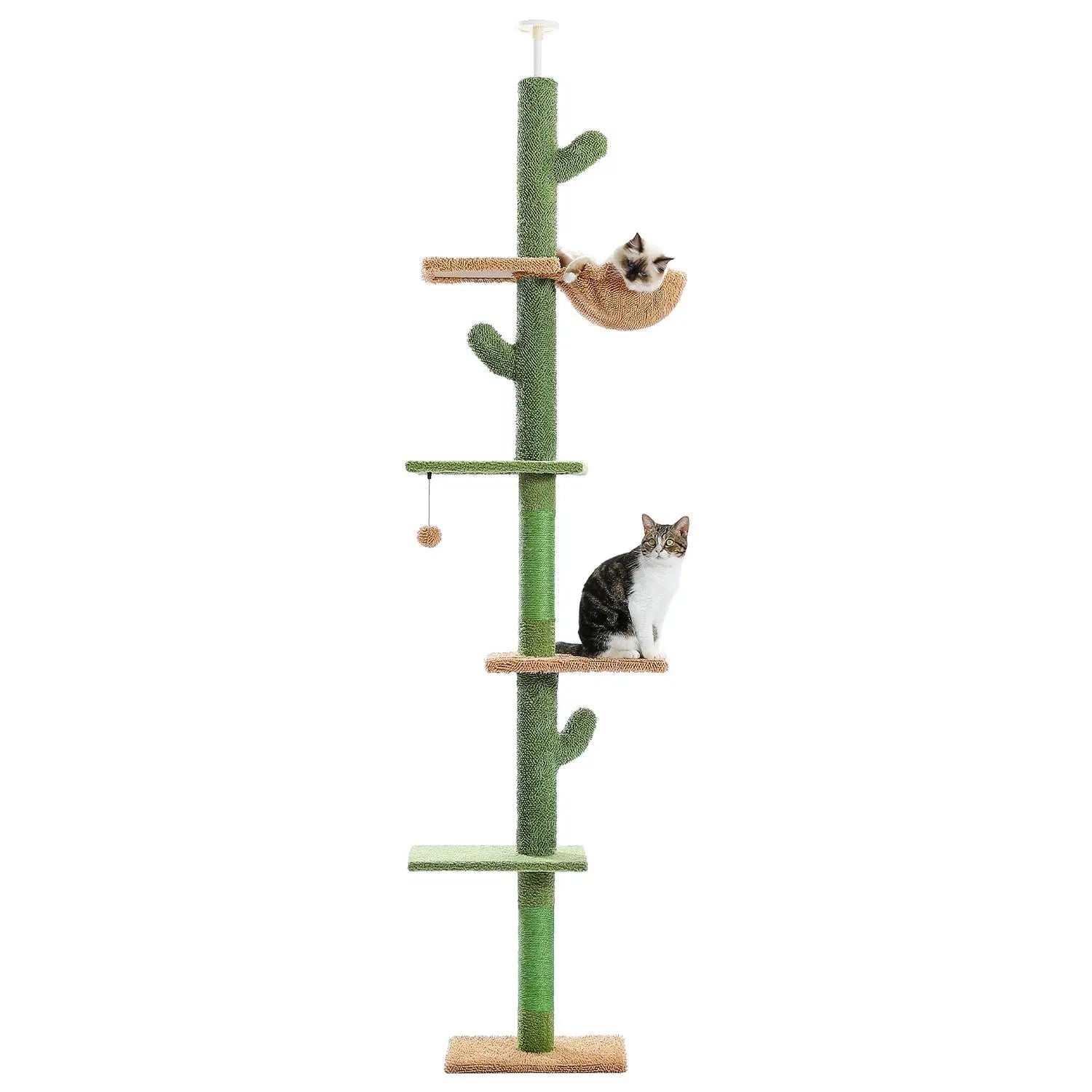 Arbre à Chat Cactus - FélinChic